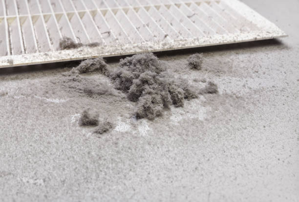 Best Home Air Vent Cleaning  in Ten Mile Run, NJ
